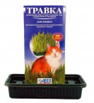 Травка для кошек в лотке АВЗ - kormProPlan.ru